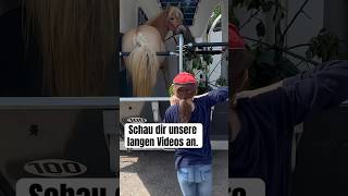 Kinderferienlager Abonniere&Dann Verpt Du Nichts