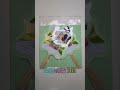 Custom Party Fans