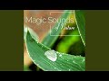 Magic nature sounds