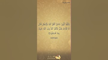 القارئ الشيخ محمد باسردة ما تيسر من #سورة_الحشر
