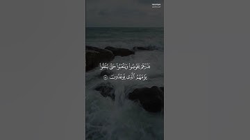 القارئ عبدالله الموسى