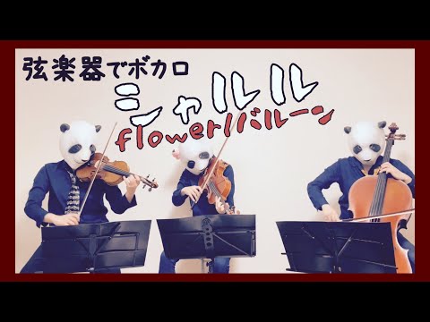 シャルル - バルーン