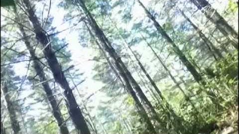 Proximity Alerts; Learn Them & Live!