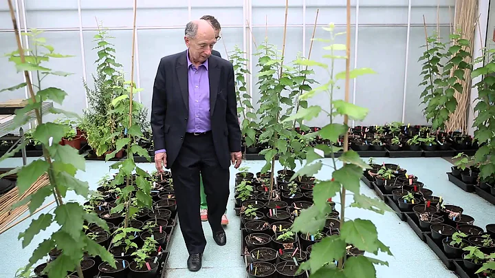 2013 Laureate Video: Mary-Dell Chilton, Robert T. ...