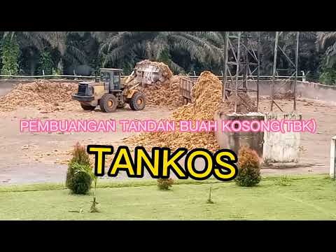 PEMBUANGAN TANDA BUAH KOSONG(TBK)||ATAU TANKOS KELAPA SAWIT@byansaja