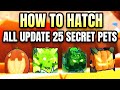 How To Hatch/Get Update 25 Secret Pets in BGSI (Roblox)