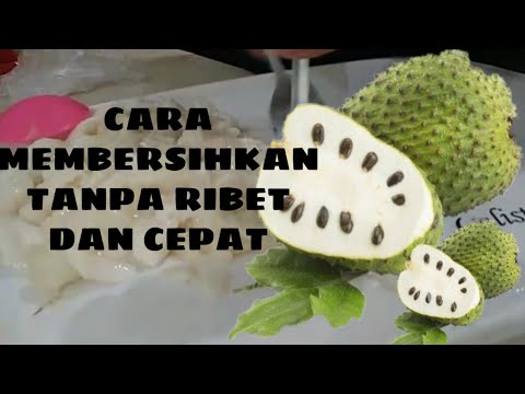 CARA MENGELUARKAN BIJI BUAH SIRSAK DENGAN MUDAH || TANPA RIBET DAN CEPAT