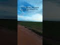 #videoshort #trending #trendingshorts #viral #fazenda #fypシ゚viral