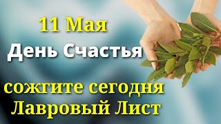 11 Мая День Счастья - сожгите в Доме Лавровый Лист. Лунный день сегодня Магия Жизни