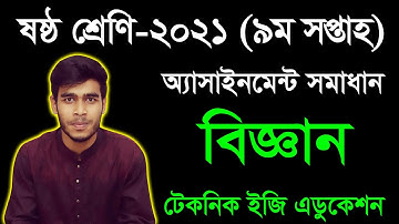 Class Six Science 9th Week Assignment Answer | ষষ্ঠ শ্রেণির বিজ্ঞান ৯ম সপ্তাহের অ্যাসাইনমেন্ট