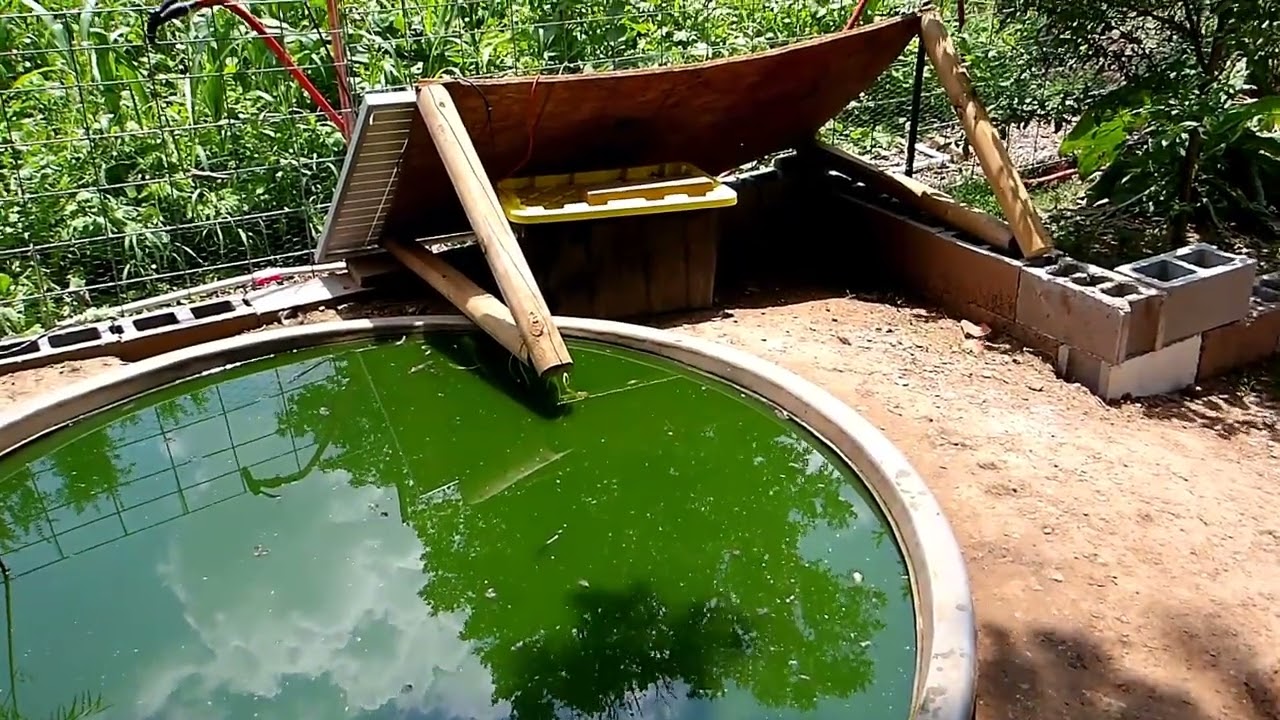 Draining The Pond