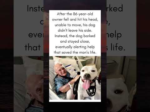 86-Year-Old Man Falls.
