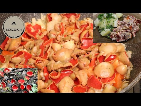 Правильный рецепт как готовить грибы саркосцифы / how to cook mushrooms
