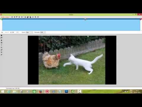 Animated Gif creation with Giffing Tool - Tutorial