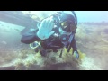 Thanksgiving at Casino Point Dive Park, Catalina - YouTube