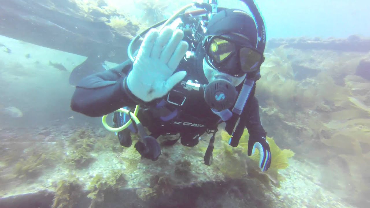 catalina underwater tour