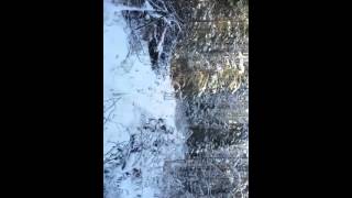 Путешествие по тайге на УАЗ(Маленькие кусочки видео., 2015-11-24T04:39:57.000Z)