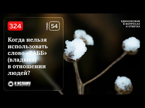 324. Когда запрещено слово «РАББ» (владыка) в отношении людей? Единобожие в вопросах и ответах