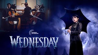 Wednesday - Paint it Black (cello version) | Imperial Orchestra Resimi