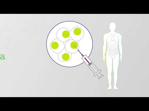 Vídeo: Abordagens De Células-tronco Para Diabetes: Rumo à Reposição De Células Beta