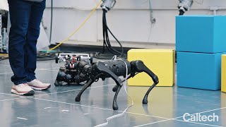 Autonomous Robots Everywhere: CAST Showcase