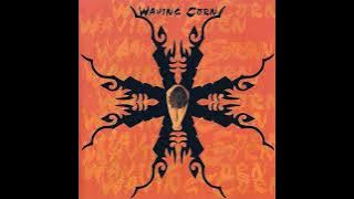 Waving Corn - 06. Sunshade