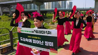SEOUL ROSE FESTIVAL Open PARADE 2024, The prettiest festival in Seoul, Seoul Travel Walker. by Seoul Travel Walker 17,646 views 1 day ago 16 minutes