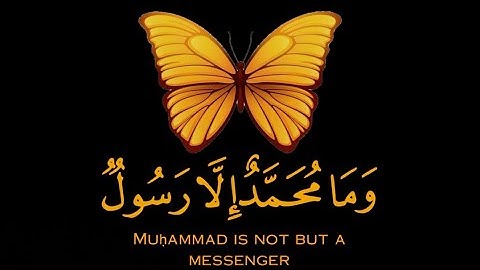 قرآن كريم | سورة آل عمران | القارئ ياسر الدوسري | تلاوة خاشعة جميلة جدا 😌❤️ | حالات واتس