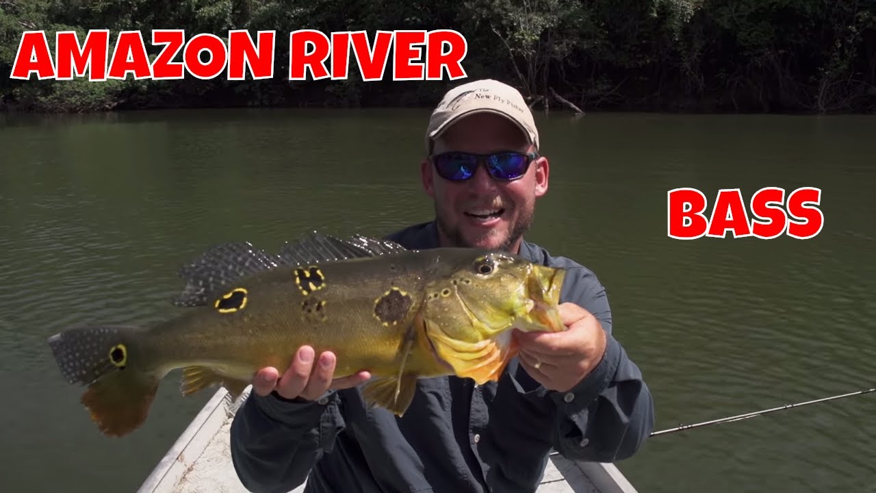 orvis fly fishing learning center Amazon River Fly Fishing | Brazil