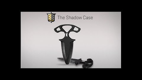CS:GO Shadow Case Collection Weapons and Daggers