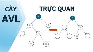 [CTDL và GT] Cây nhị phân tìm kiếm cân bằng (AVL) -  trực quan, ngắn gọn, dễ hiểu