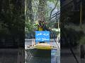 من اليابسة إلى الأنهار.. رحلة 15 سنة لساعية بريد بالقارب في ألمانيا