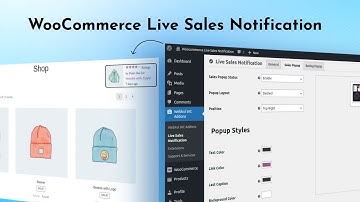 WooCommerce Live Order & Review Notification Plugin - Workflow