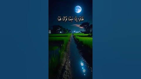 #سورة الجن بصوت طارق محمد ♥️#القرآن الكريم #سورة الجن.