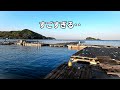 大物がすごすぎる!!由良海釣り公園とは・・?