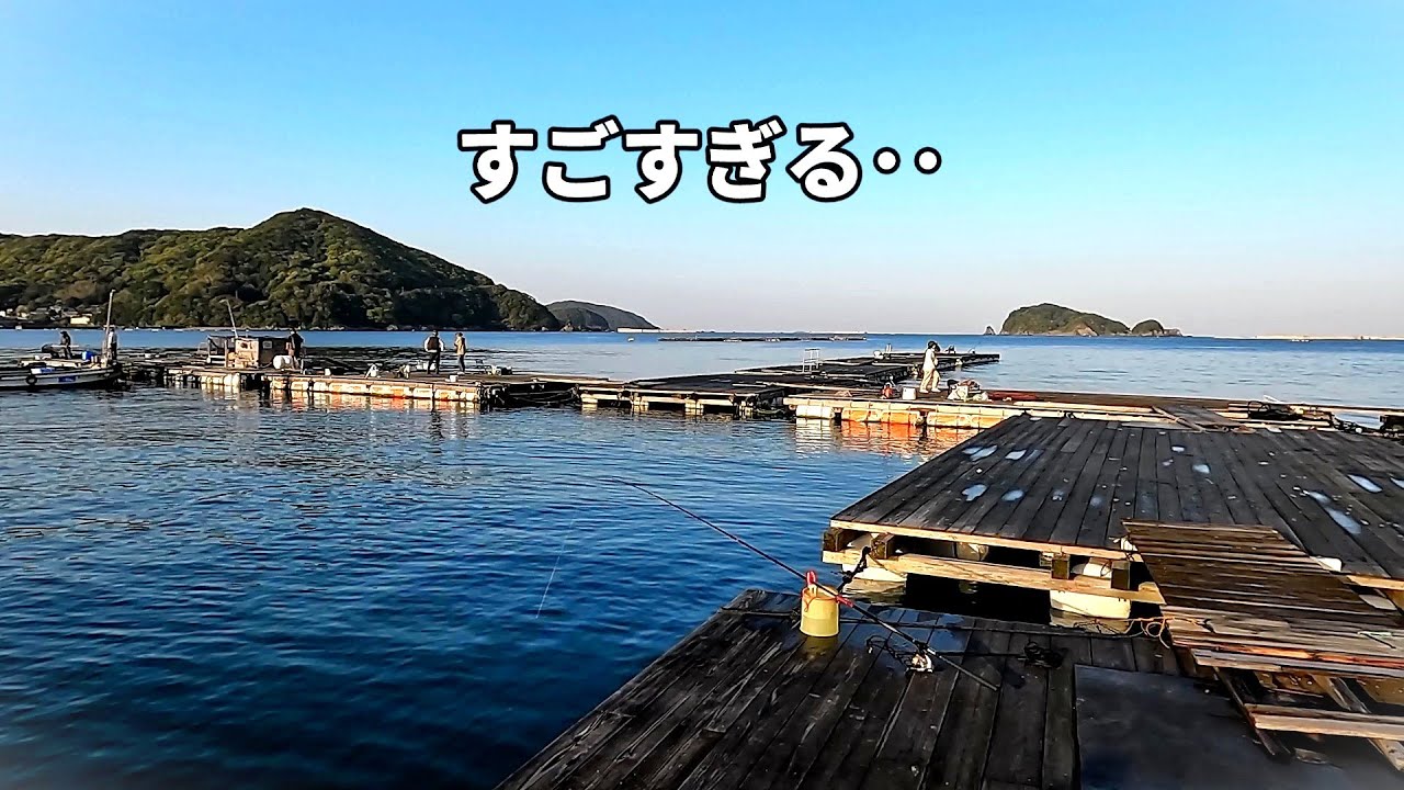 大物がすごすぎる！！由良海釣り公園とは・・？