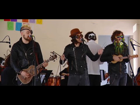 ევროვიზიის რიგით 66-ე კონკურსამდე ორი კვირა რჩება