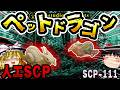 【ゆっくりSCP解説】火を吹くカタツムリ!?ワンダーテインメント博士の「最高に危険なペット」【SCP-111:ドラゴンカタツムリ】