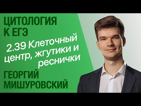 2.39. Микротрубочки, клеточный центр, жгутики и реснички | Цитология к ЕГЭ | Георгий Мишуровский