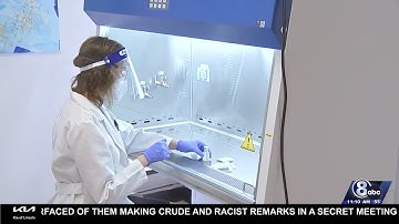 Scientists transplant human brain cells into rats