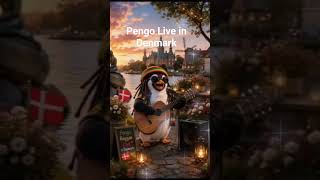 Pengo Reggae DK ｜Day5 Live inDenmark ｜Penges Havn（Hygge Reggae）｜ペンギン癒しライブ　デンマークの夕暮れレゲエ
