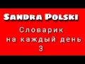 Урок польского Тема: ПОЛЬСКО - РУССКИЙ СЛОВАРИК!