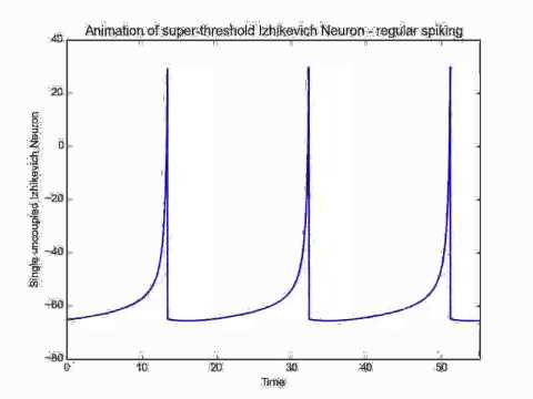 Izhikevich regular spiking