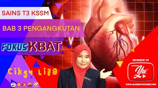 BAB 3 PENGANGKUTAN | FOKUS KBAT