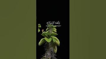 يَوْمَ تُقَلَّبُ وُجُوهُهُمْ فِي النَّارِ🌷آيات من سورة الأحزاب القارىء الشيخ محمد اللحيدان🤍 #قرآن