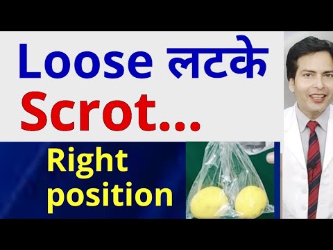 Loose Lying Down Scrot Hanging Swinging What Is The Right Position Andko