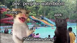 Pov : liburan ke waterboom | meme kucing 🤣 4