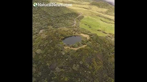 Science study  Rising CO2 producing “miracle” re greening effects across the planet as global tree c