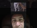 esse cachorro# arrumou poblema