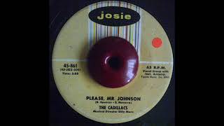 THE CADILLACS   PLEASE MR JOHNSON   JOSIE 861